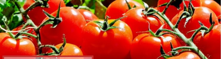 Pomodoro – Como aumentar sua produtividade
